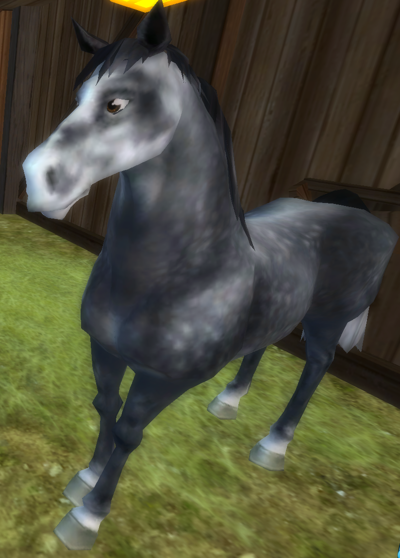 Star Stable Daily Horse Breeds