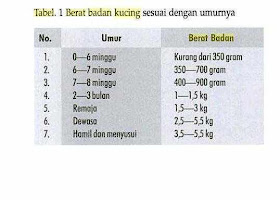 Dunia Anak It Tabel Berat Badan Ideal Untuk Kucing