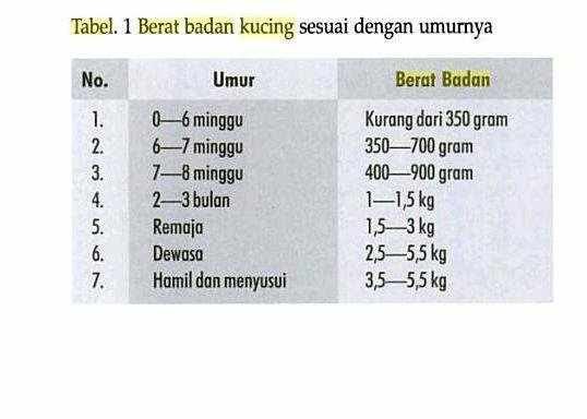 Dunia Anak It Tabel Berat Badan Ideal Untuk Kucing