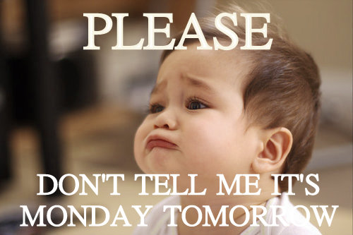 Funny Monday Quotes and Sayings Funny Monday Quotes and Sayings