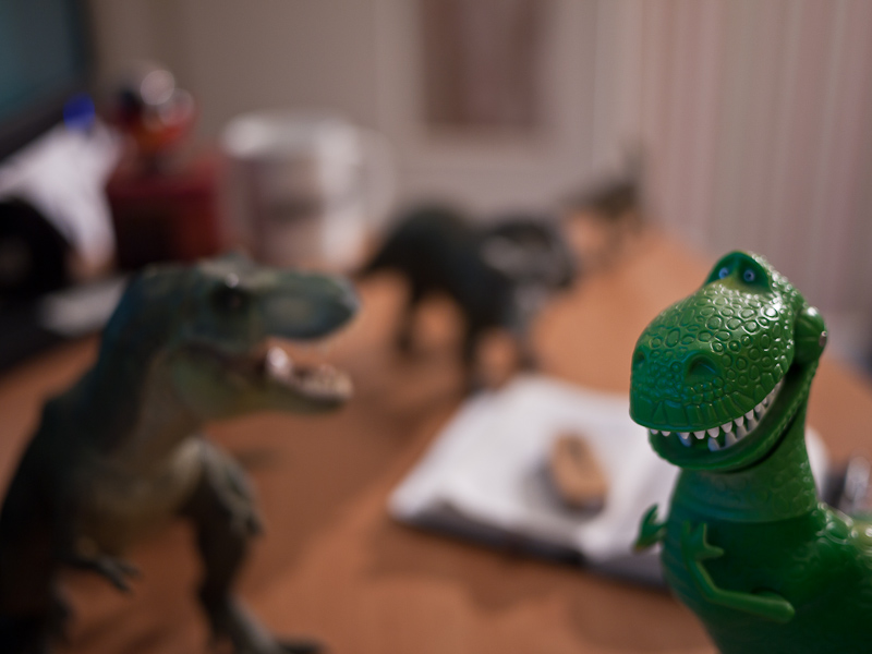 Rex 570, 230, 800, 600