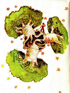 Los baobabs al menos protegen de las radiaciones solares