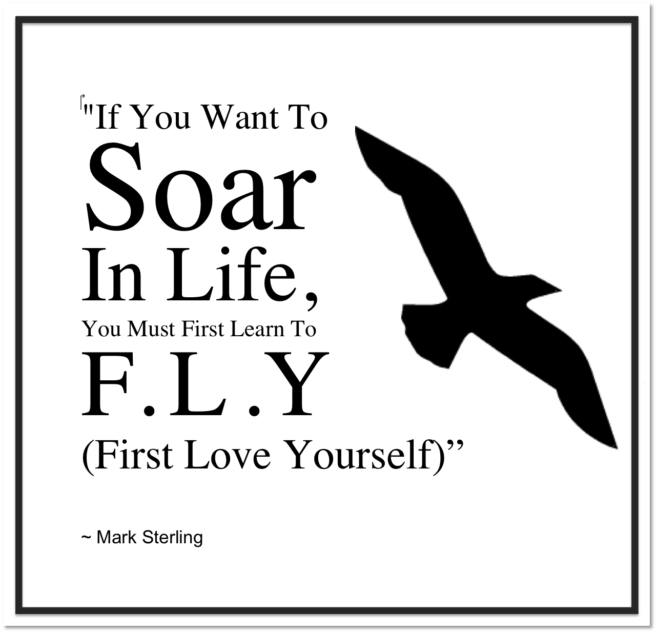 first+learn+to+fly+frame+the+phrase.jpg