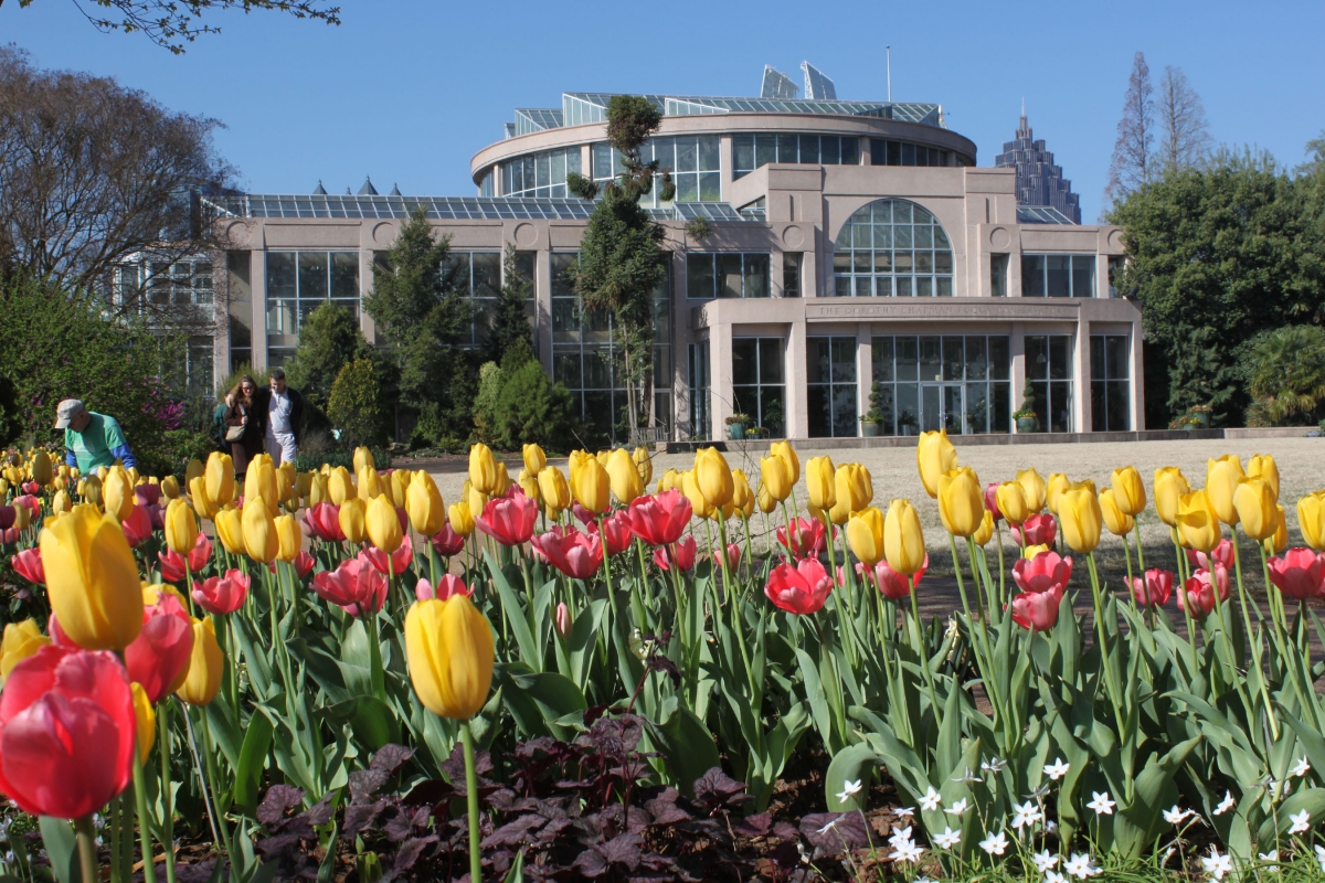 [Image: atlanta_blooms_7_0.jpg]