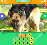 1 Pic 3 Words Level 444 answers cheats, solutions, walkthrough for 1 pic 3 words level 444
