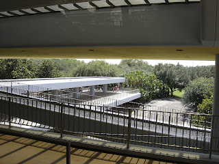 DSC09861.JPG