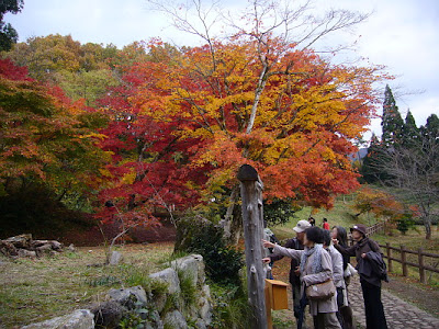 滋賀県・奥びわ湖 鶏足寺の紅葉