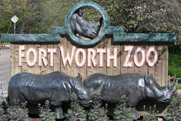 Fort Worth Zoo review Hours, Coupons, Jobs, and Price.:Choice Your Holiday