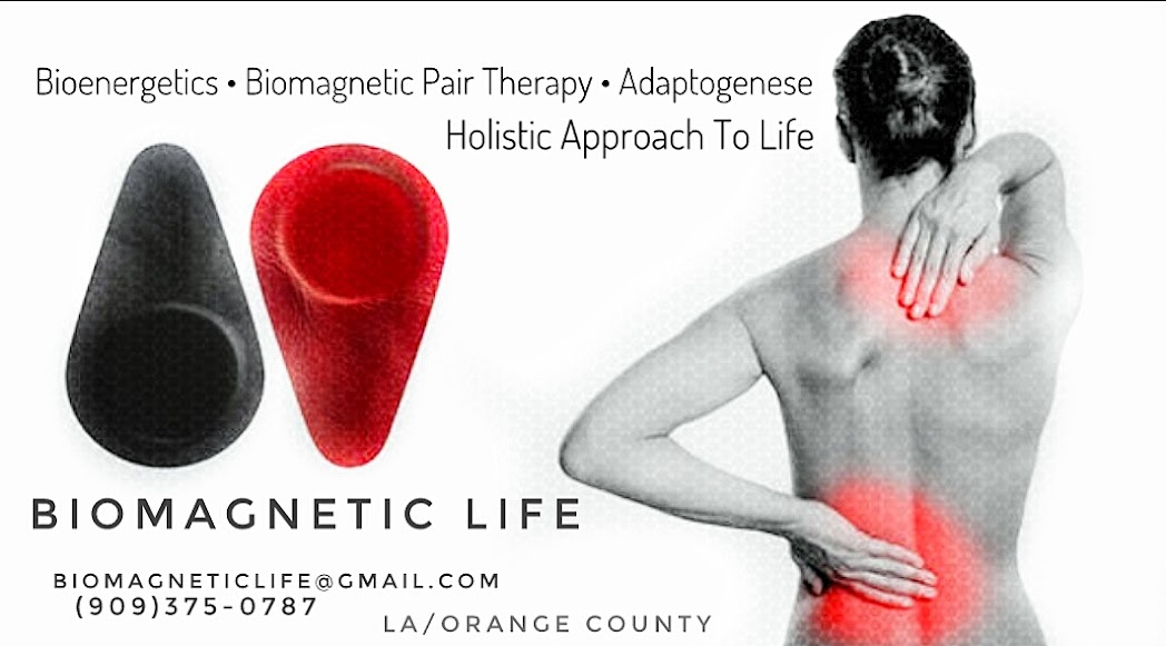 Life/ Pair Therapy/Holistic Balance physical