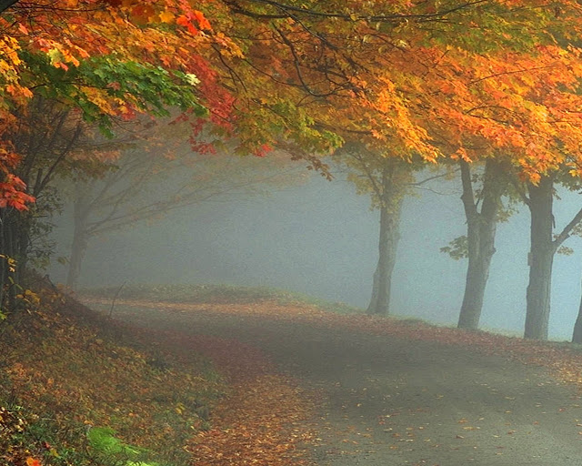Autumn-pictures-+Wallpaper-Photos-gallery-2011-031