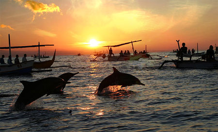 Mengejar matahari terbit agar dapat menyaksikan lumba-lumba di laut lepas