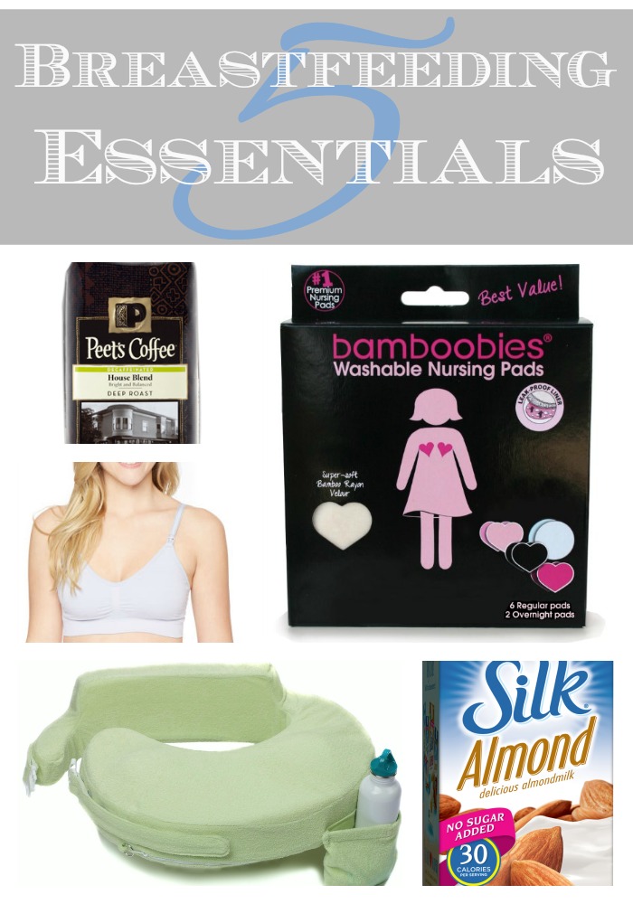 An Life Blog 5 Breastfeeding Essentials