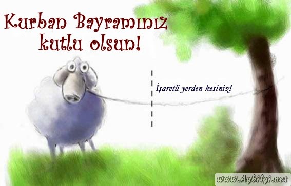 2013 kurban bayrami mesajlari kurban bayrami hazir smsler bayram smsleri en guzel kurban bayrami mesajlari 2013