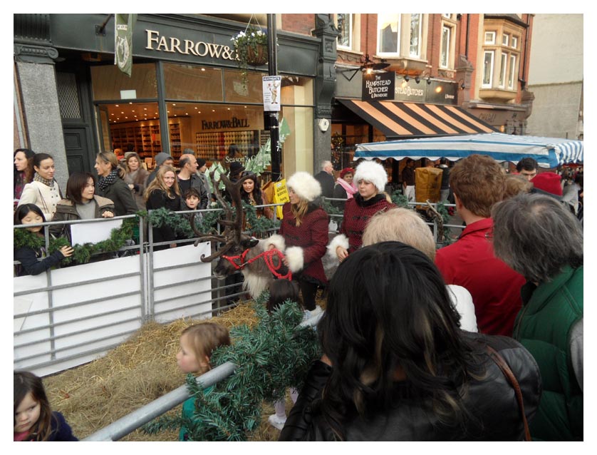 London Clay Birds Hampstead Christmas Fair
