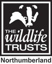 Northumberland Wildlife Trust