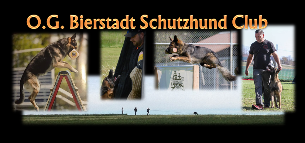 O. G. Bierstadt Schutzhund Club 