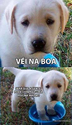 Fotos Legais para Postar no Facebook