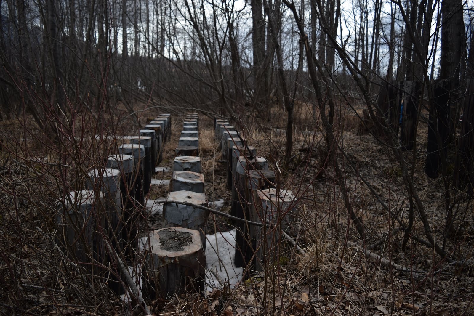 PalmerMoose Creek Railroad trail