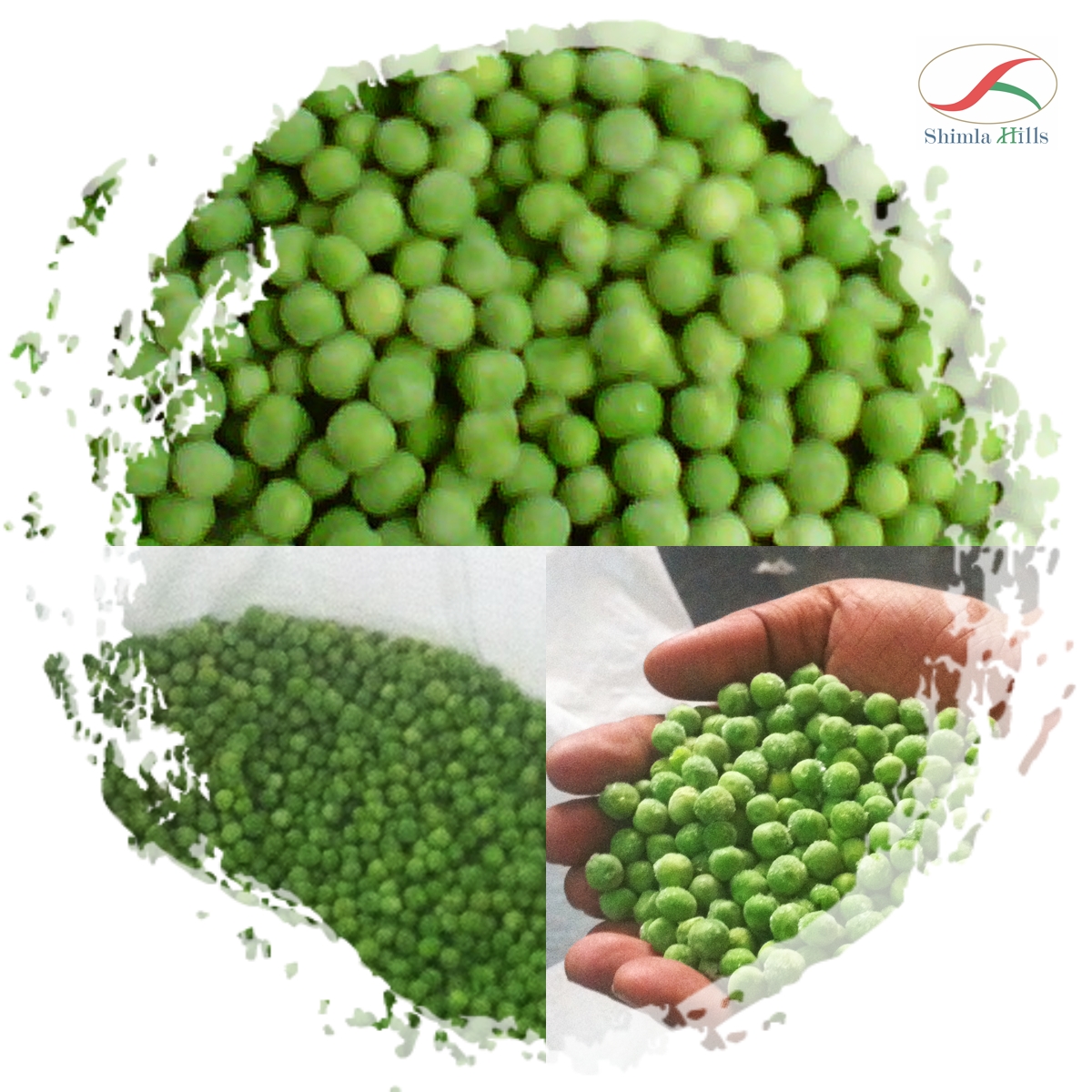 Shimla Hills Offerings Private Ltd Ltd) FROZEN GREEN PEAS BY