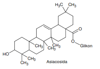 Makalah biosintesis steroid