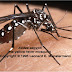 Virus Zika "Apa dan Bagaimana Pencegahannya"