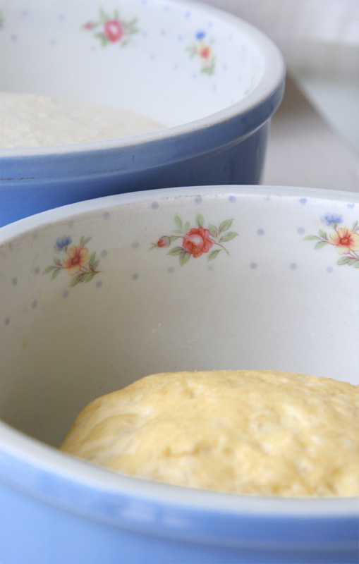 Nessy Designs Rising Dough in Vintage Bowls