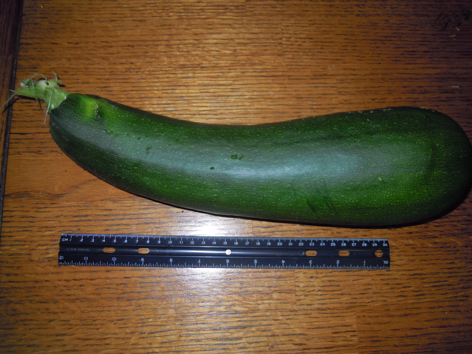 One Big Zucchini
