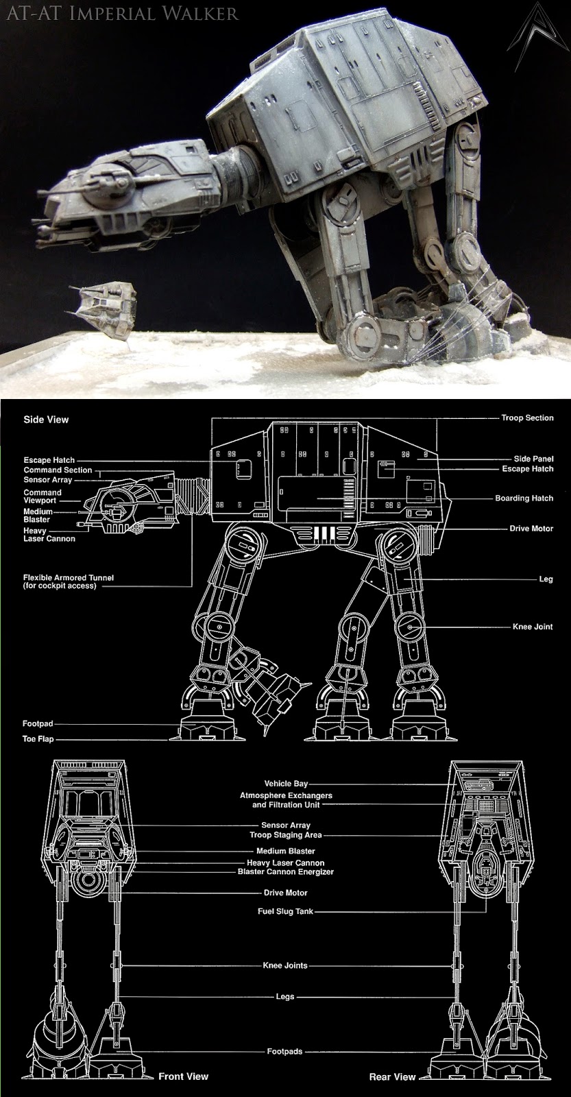 Mobility scooter rental indianapolis downtown, handicap grocery carts