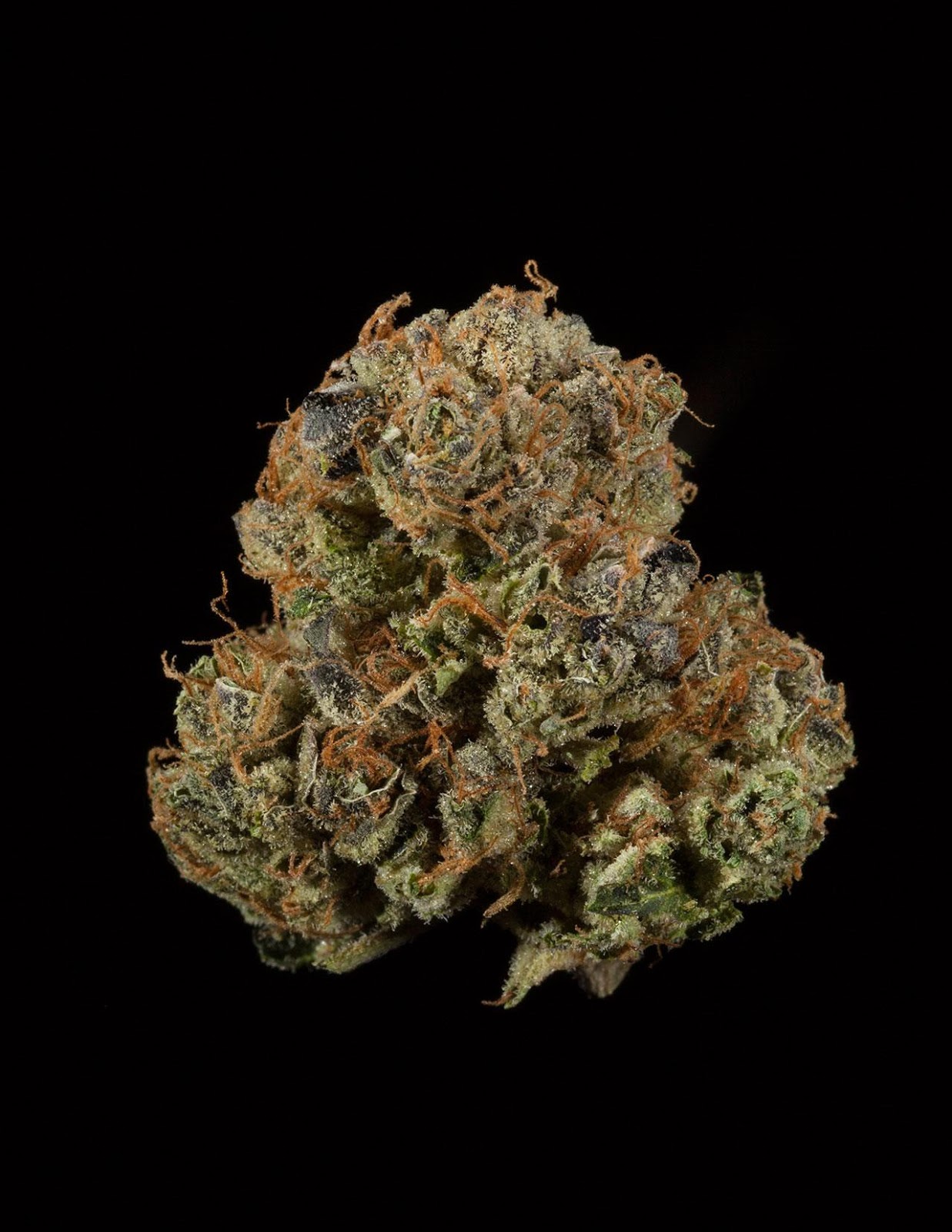 ChemScout | #Collective ChemScout | #Collective