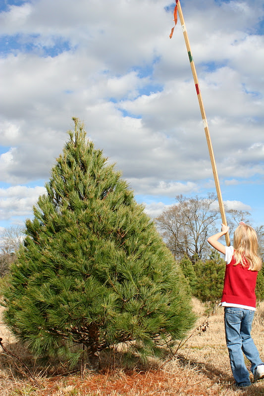 Little Page Turners Oh Christmas Tree! Trimmed Trunk Plaque