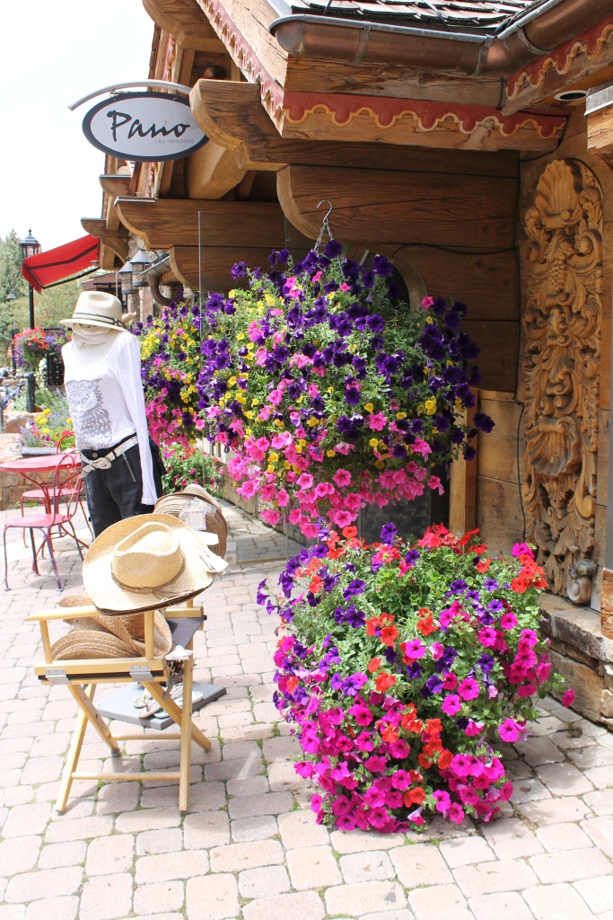 Miss Kopy Kat The Flowers of Vail