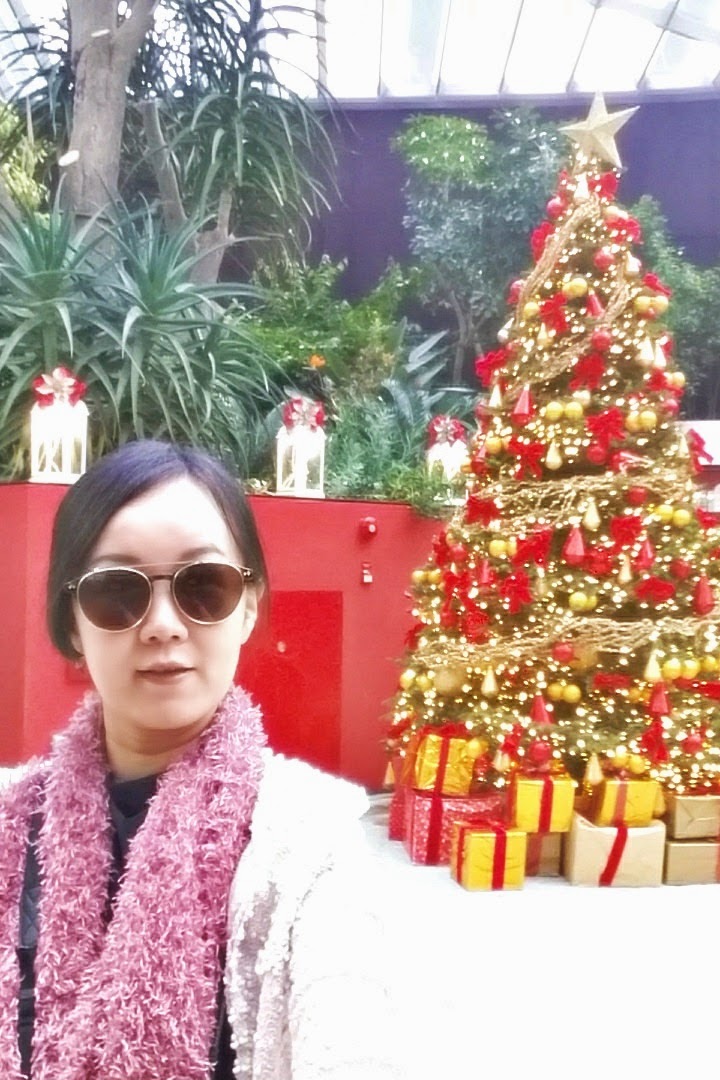 meheartseoul.blogspot.sg (Vera Lee)