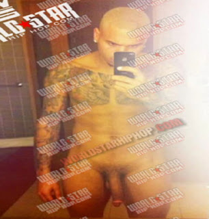 Chris brown nude pic. 