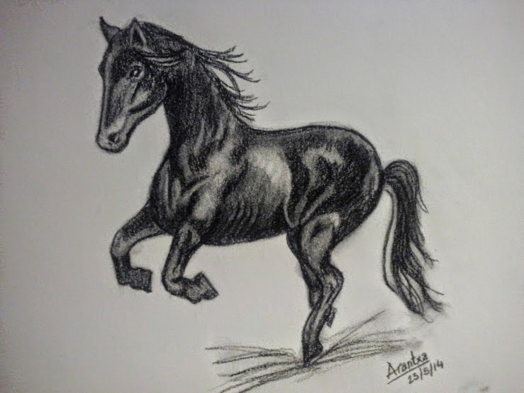 El arte de Arantxa: Cómo dibujar un caballo paso a paso