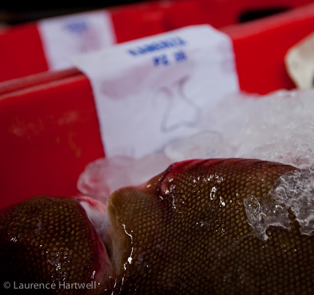 Through the Gaps! Newlyn Fishing News A very Fishy Friday to all blog followers! Cornwall UK