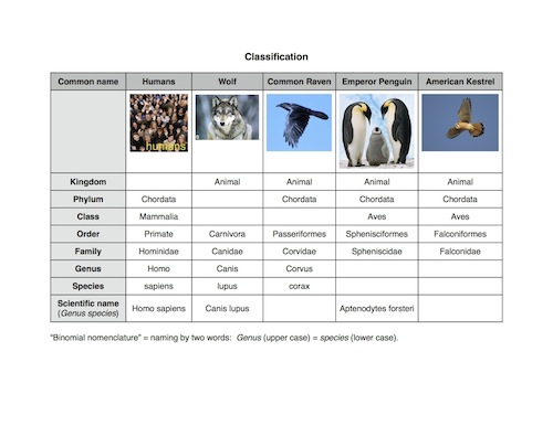 Worksheets Biological Classification Worksheet fcim sc 6 l 15 1 linnaeus classification 7 2 theory of evolution
