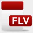 FLV Video Player