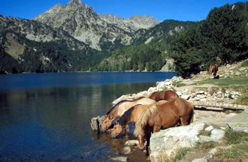 PARC NATURAL CADÍ-MOIXERÓ