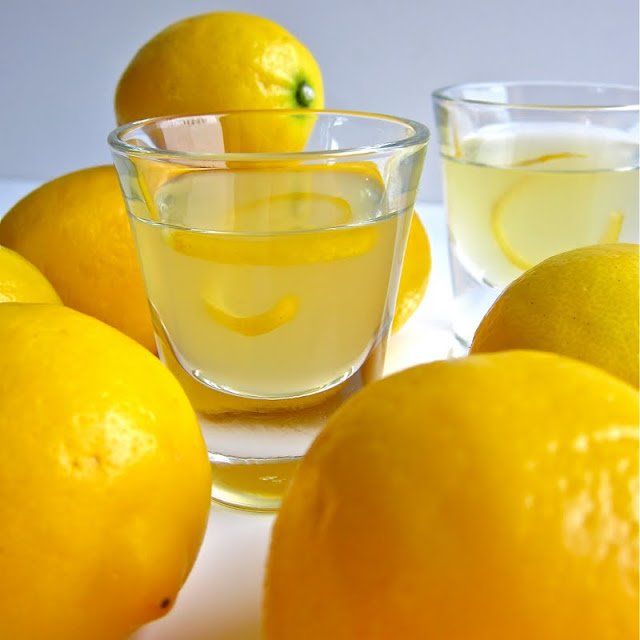 Arctic Garden Studio Meyer Lemon Liquor