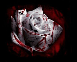 Rosa de sangre.