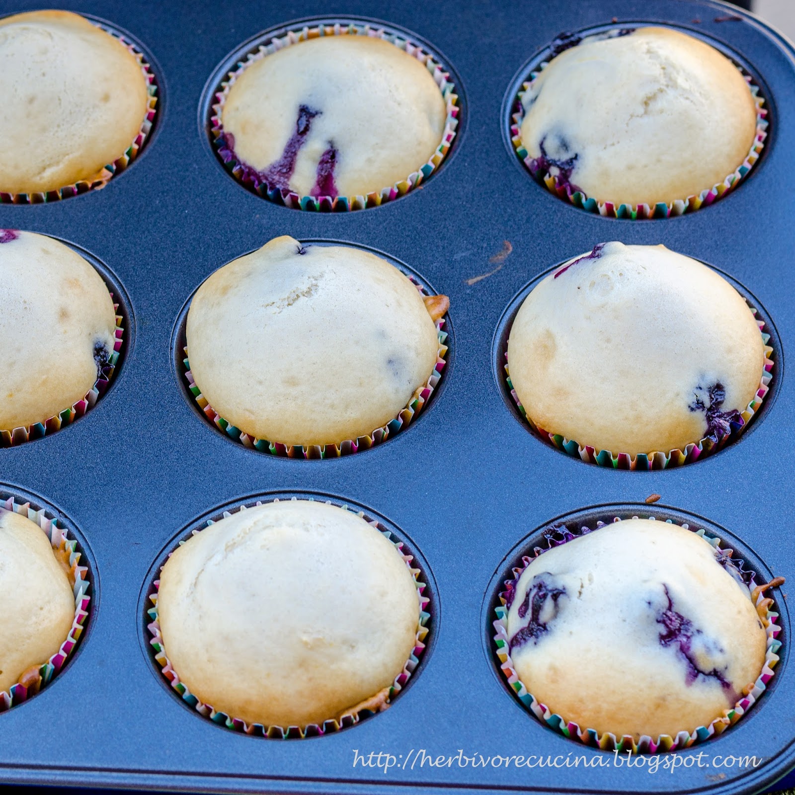 Herbivore Cucina Eggless Blueberry Yogurt Muffins
