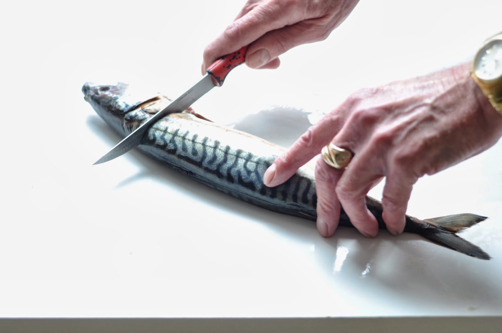 Simple Food Poached Mackerel with Mushroom and Fennel Sauce