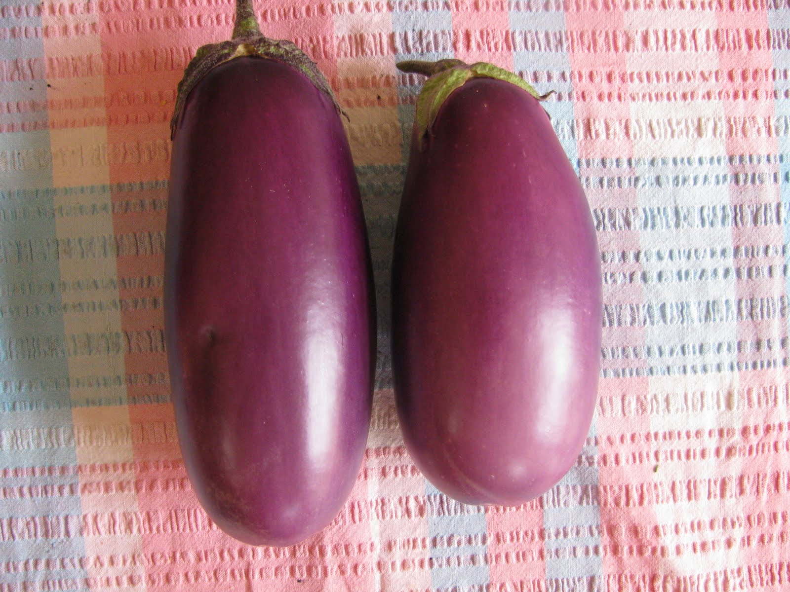 Dear Asparagus My eggplant family!