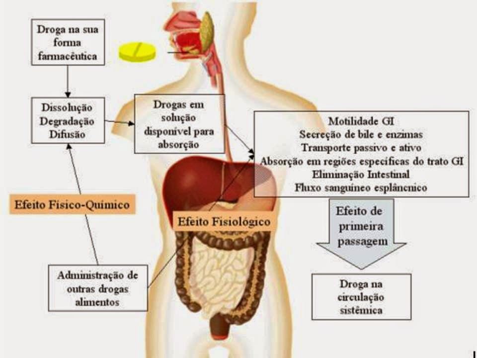 Sildenafil E Alcool