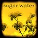 The sugarwater blog