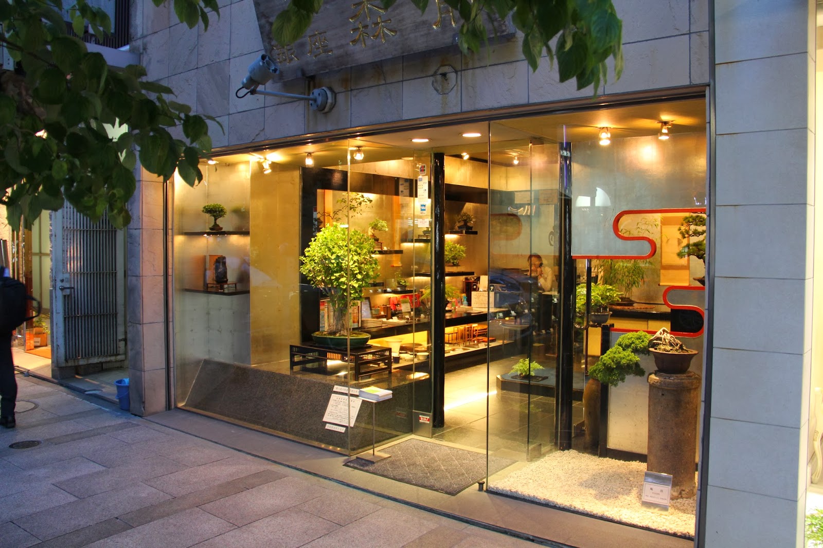 Thông tin về Morimae Ginza Bonsai Shop, Japan