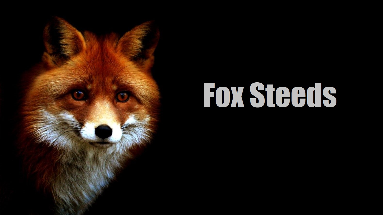 Fox Steeds