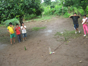 Tiempo de Juegos en la selva