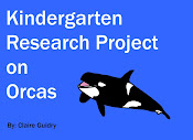 Kindergarten Research Project on Orca Killer Whales