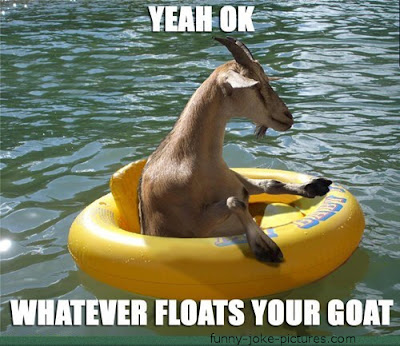 funny-goat-picture.jpg